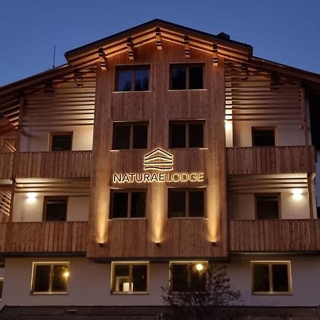 Naturae Lodge Wellness & Spa Alleghe Kültér fotó
