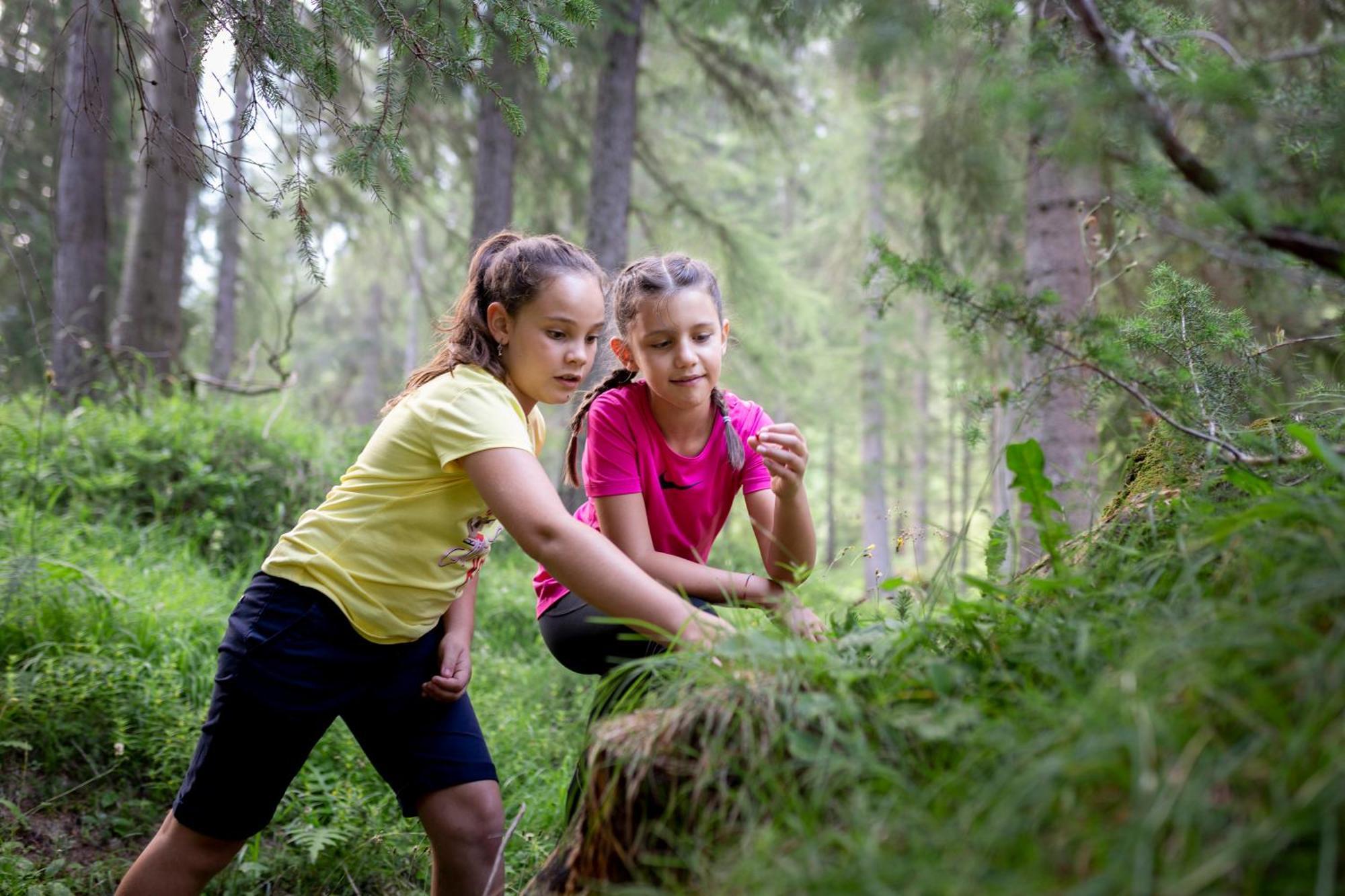 Naturae Lodge Wellness & Spa Alleghe Kültér fotó