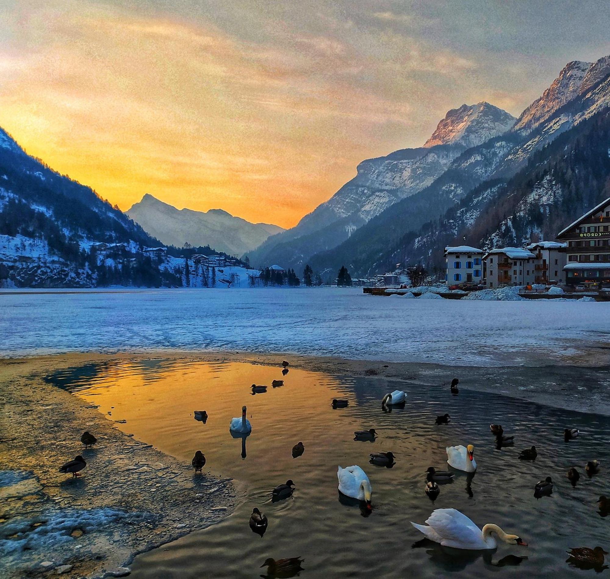 Naturae Lodge Wellness & Spa Alleghe Kültér fotó